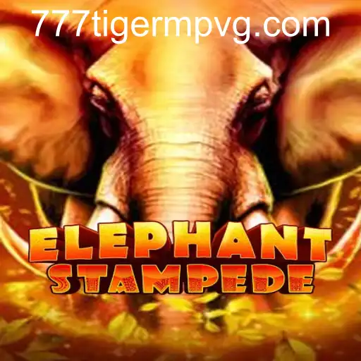 ElephantStampede